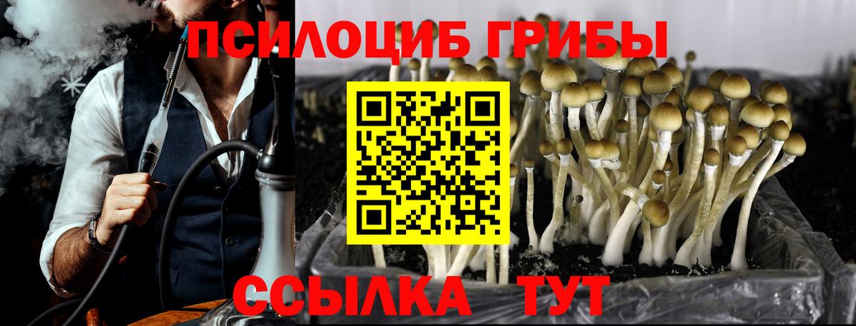 Верхняя Салда  Галлюциногенные грибы Magic Shrooms  Вход с VPN 